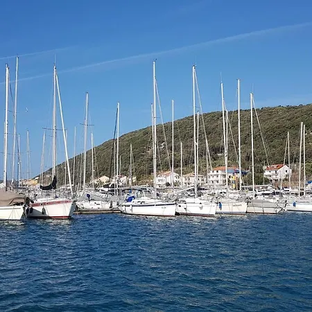 Galeb2