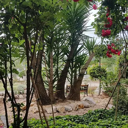 Bed & Breakfast Galeb2 Supetarska Draga