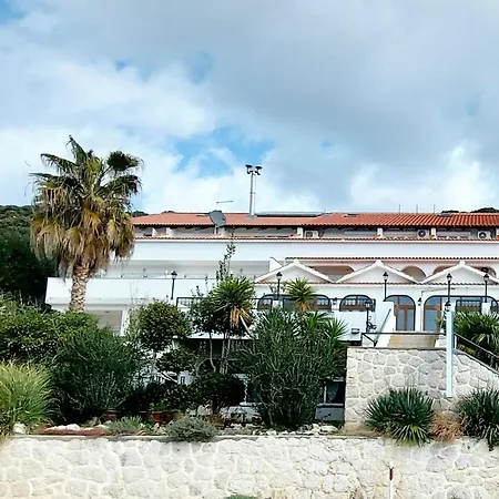 Galeb2