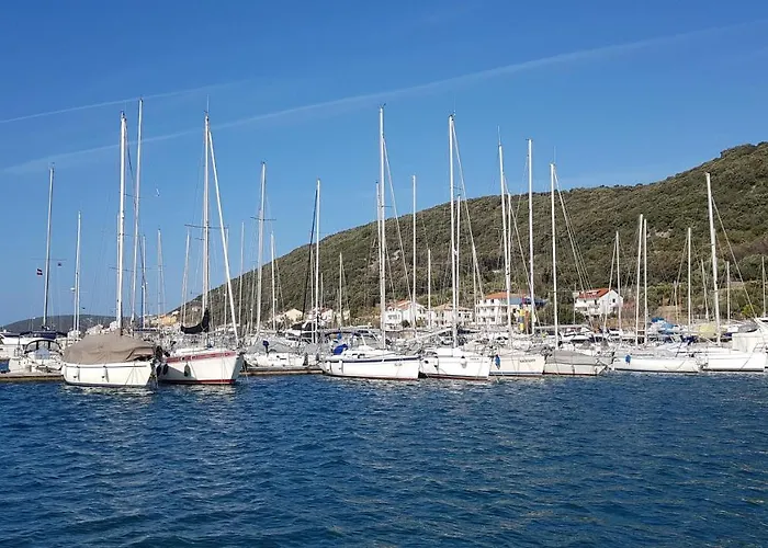 Galeb2